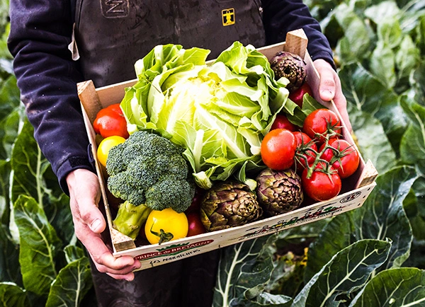 Un colis de légumes Prince de Bretagne